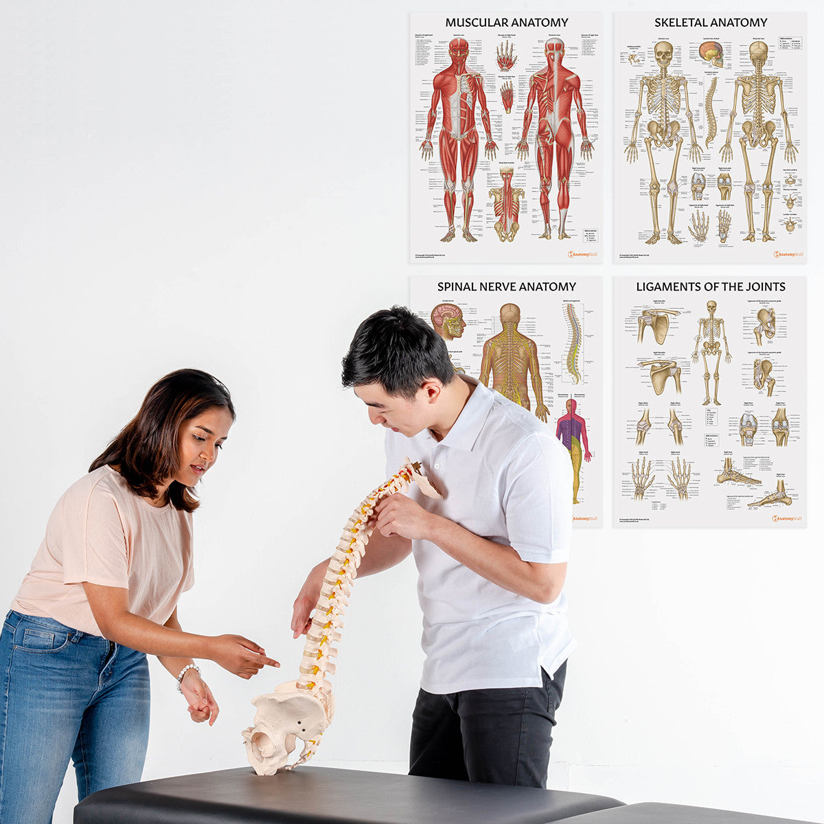 Physiotherapy 4 Poster Collection (Laminated)