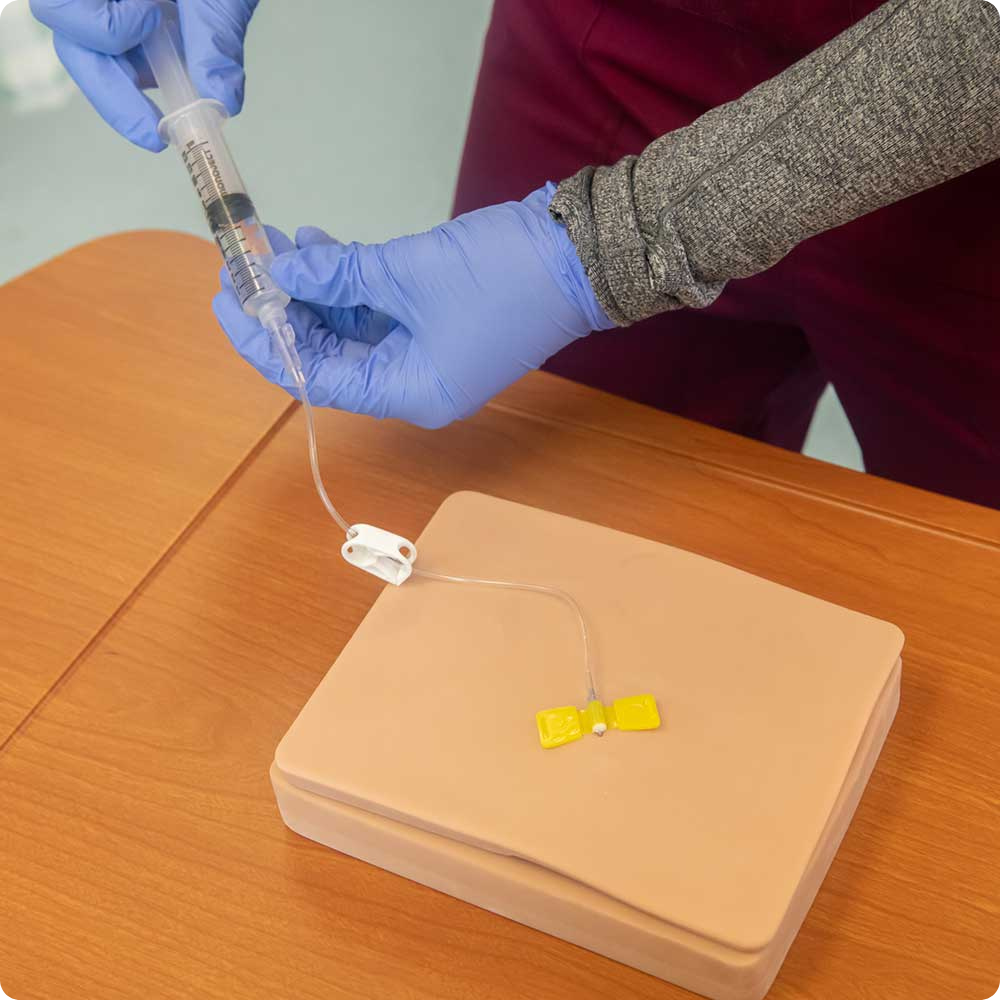 Port - "Body In A Box" Trainer