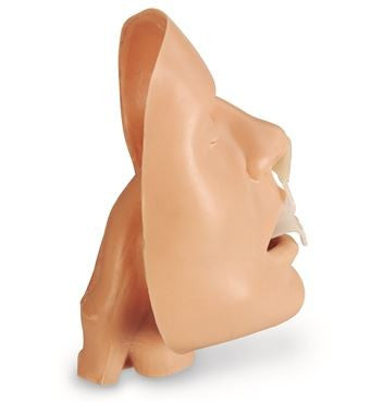 Handheld BLS Airway Trainer