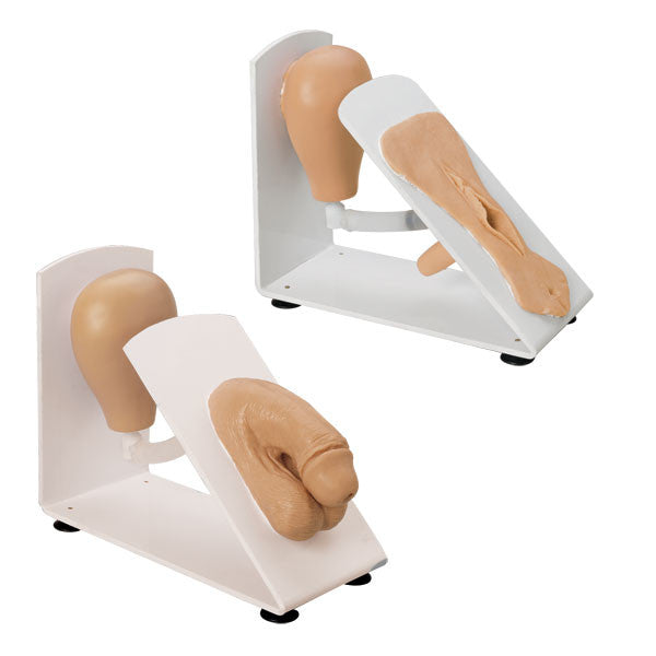 Male and Female Catheterisation Trainers Set