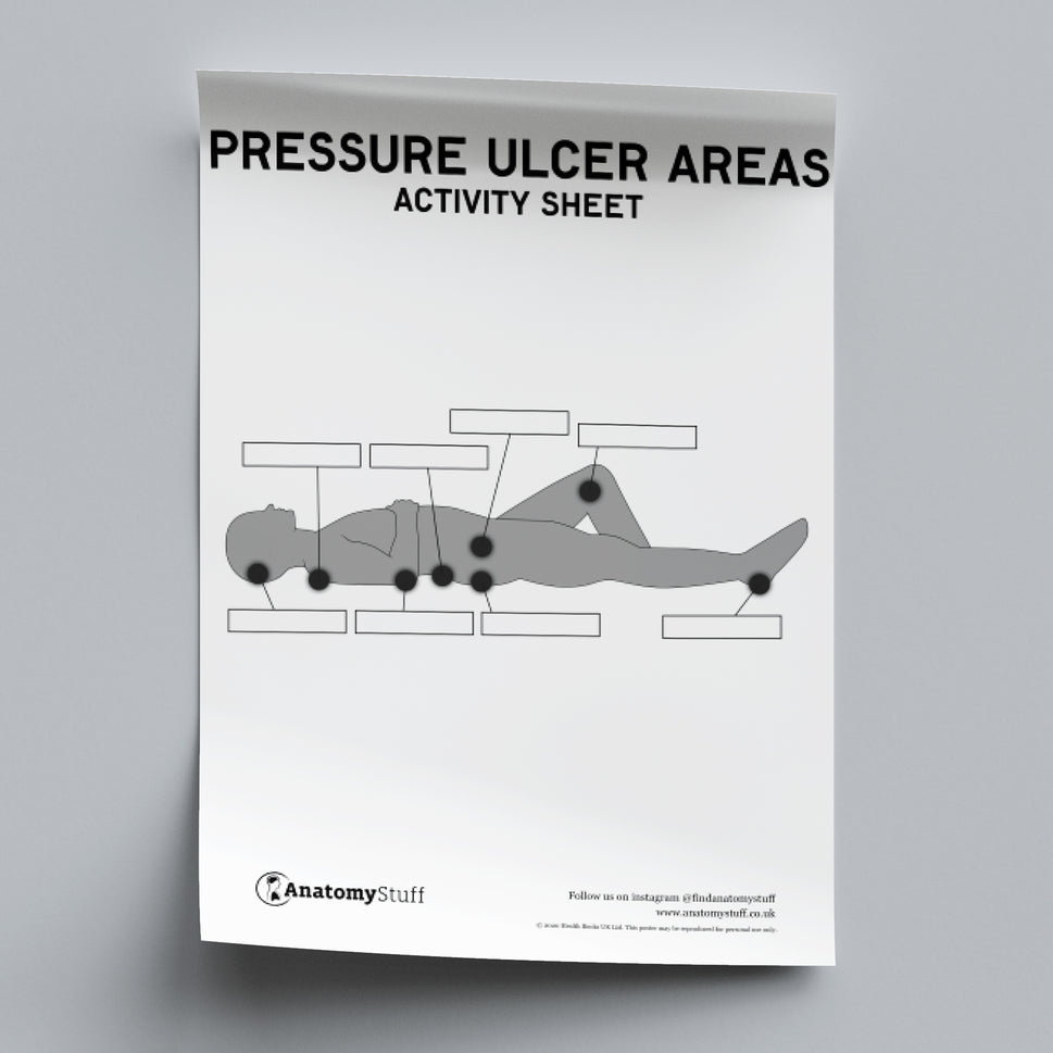Pressure Ulcers Areas Activity Sheet PDF