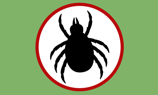 <strong>Protect Against Insects</strong>