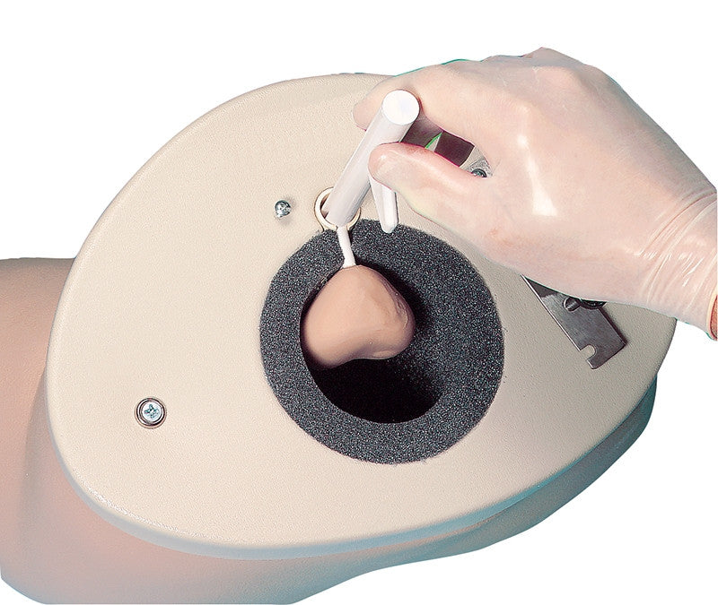 Prostate Examination Training Image