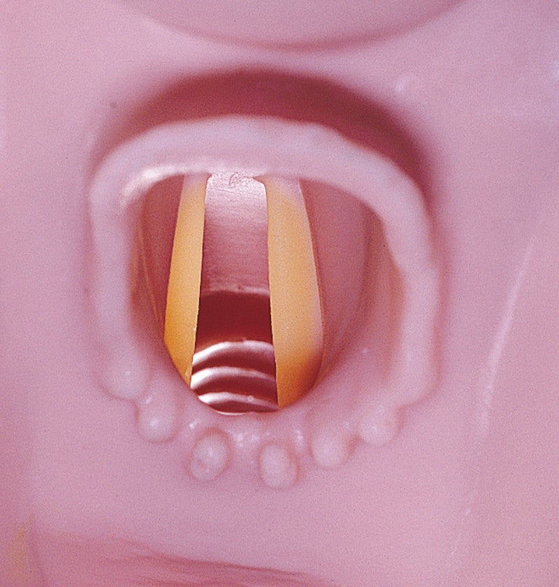 Airway Larry Training Head