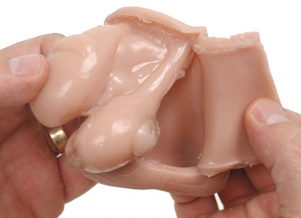 Testicular Self-Examination Model (TSE) - Part of Collection
