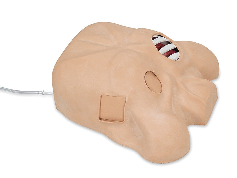 Chest Tube Manikin