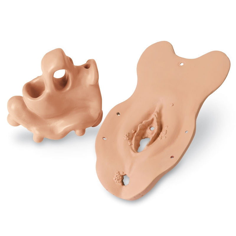 Complete Set of Specialized Examination Modules