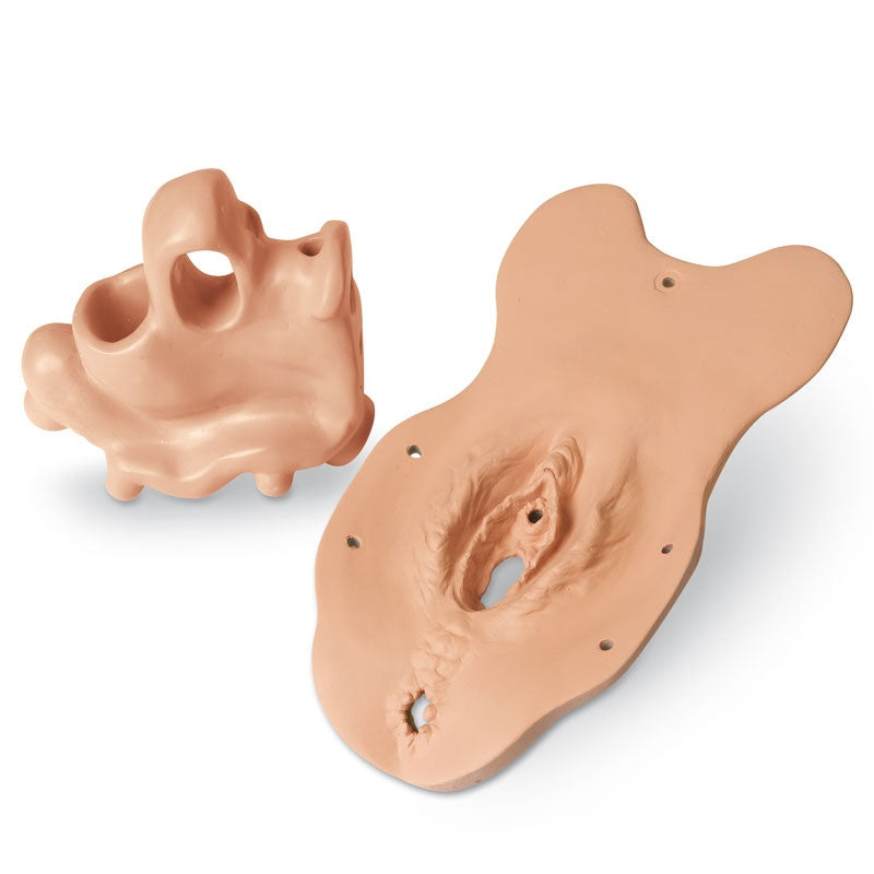 Complete Set of Specialized Examination Modules