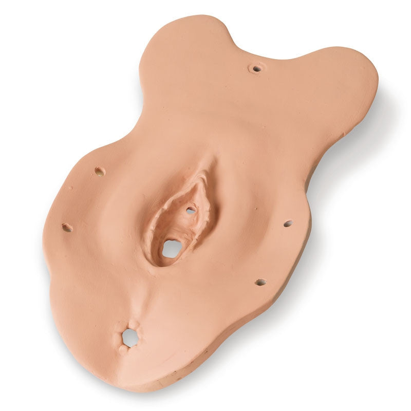 Complete Set of Specialized Examination Modules