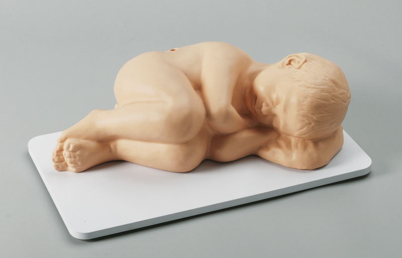 Paediatric Lumbar Puncture Simulator