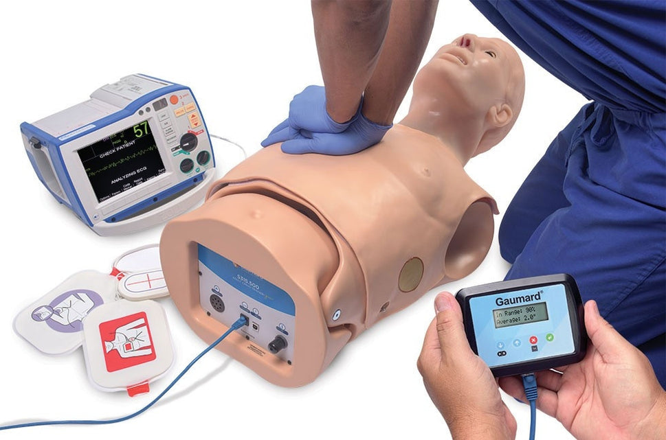 HAL Adult CPR+D Skills Trainer Torso
