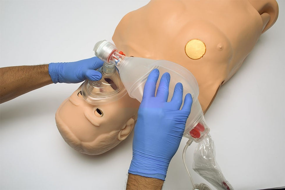HAL Adult CPR+D Skills Trainer Torso