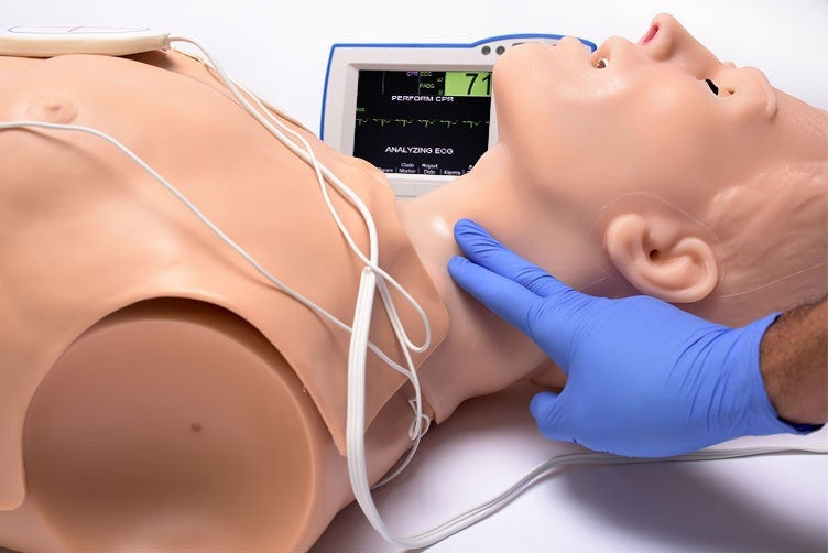 HAL Adult CPR+D Skills Trainer Torso