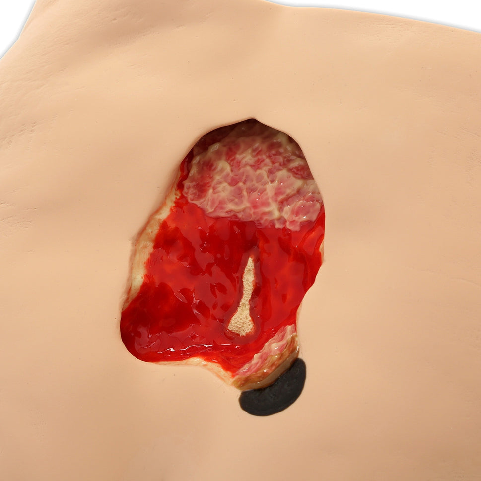 Seymour II Wound Care Simulator
