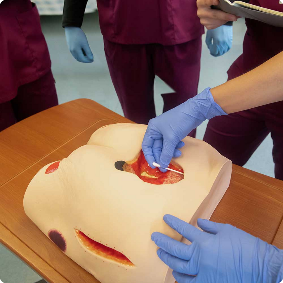 Seymour II Wound Care Simulator