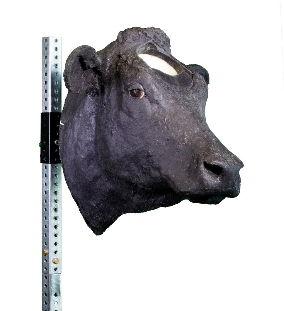 Captive Bolt Gun Penetrating Training Model