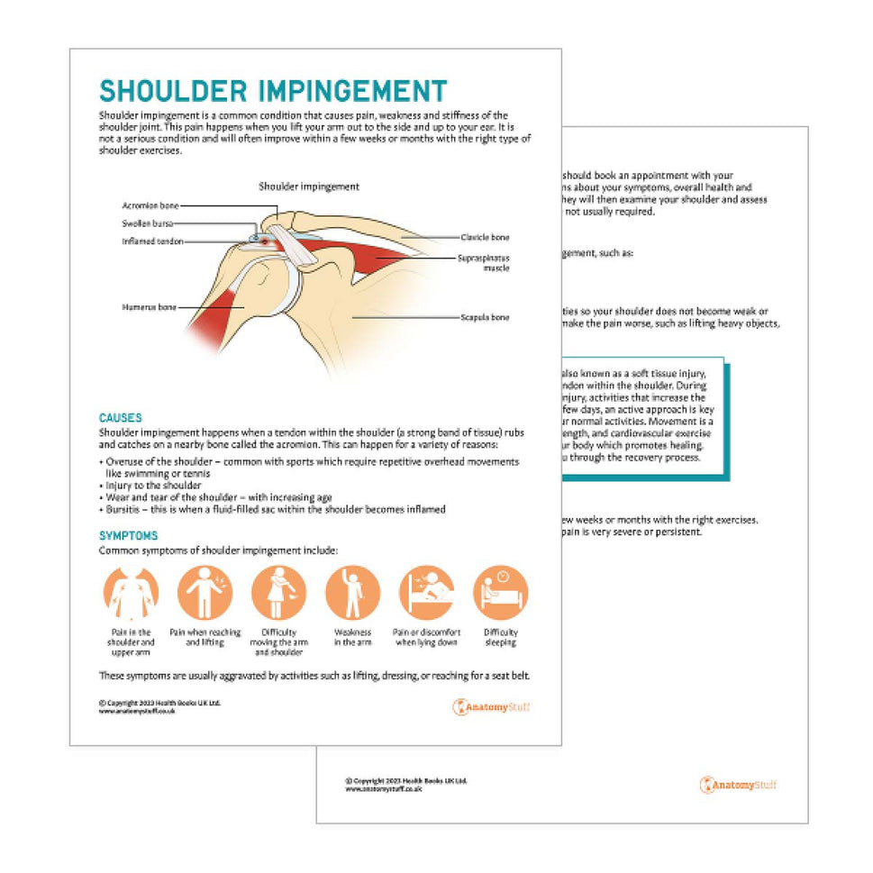 Shoulder Impingement Patient Education Handout (Printable PDF)