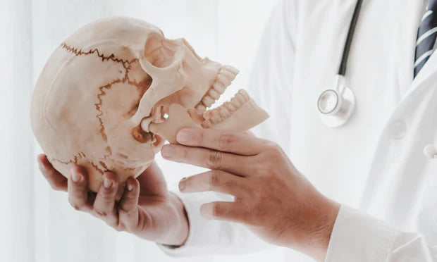 Anatomy Revision Guide