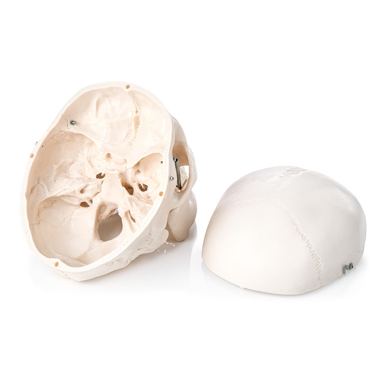 3-part model