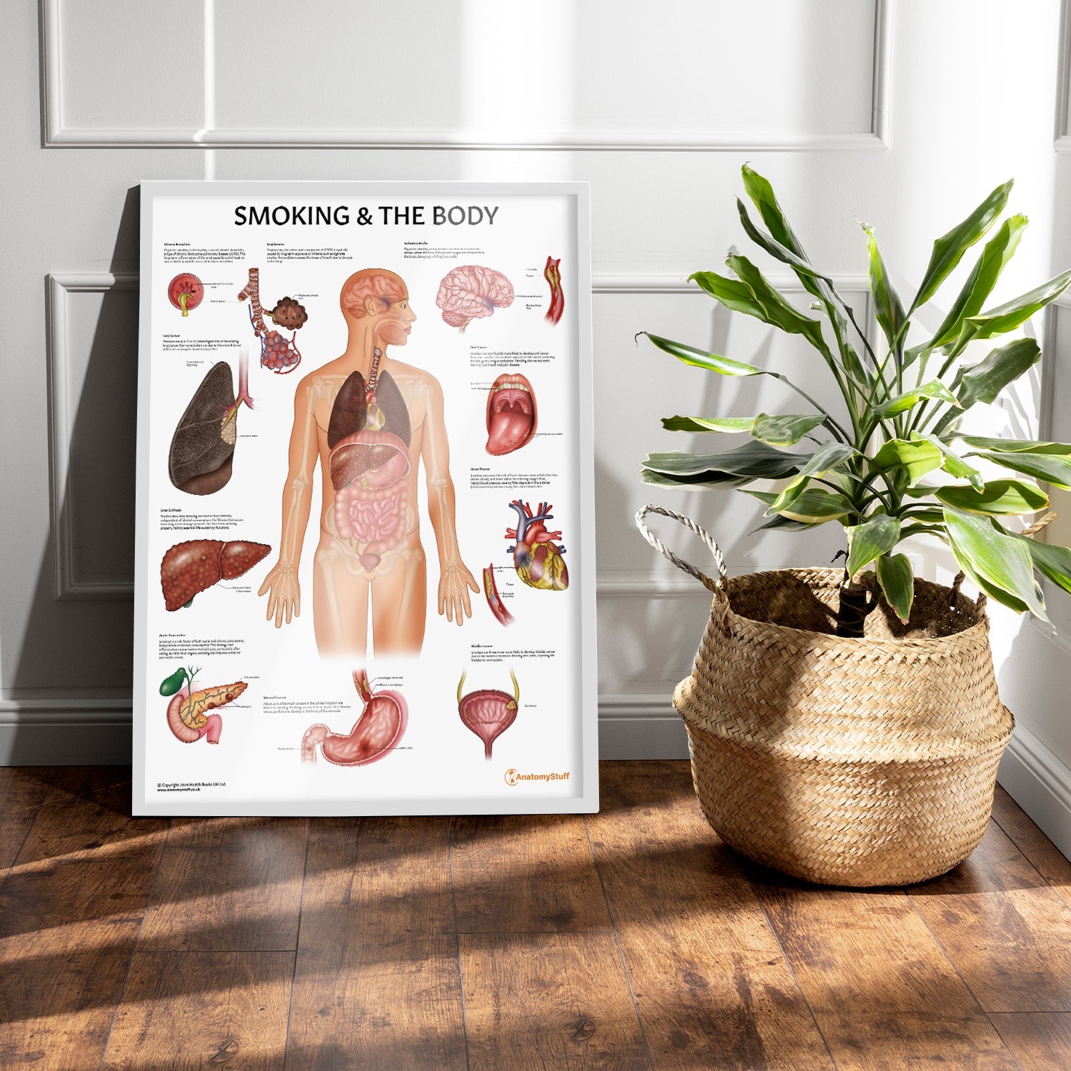 Smoking and The Body Chart / Poster - Part of Collection