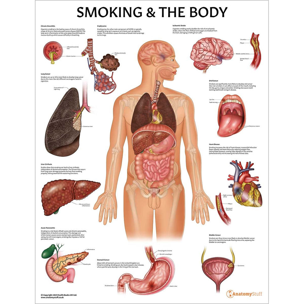 Substances and The Body 4 Poster Collection (Laminated)