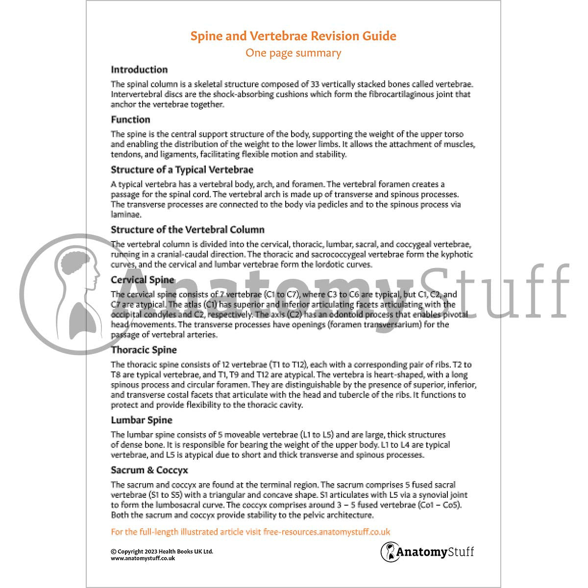 Spine & Vertebrae Revision Guide (One Page Summary)