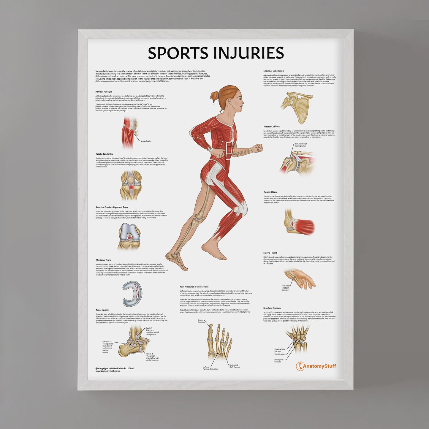 Sports Injuries Chart / Poster