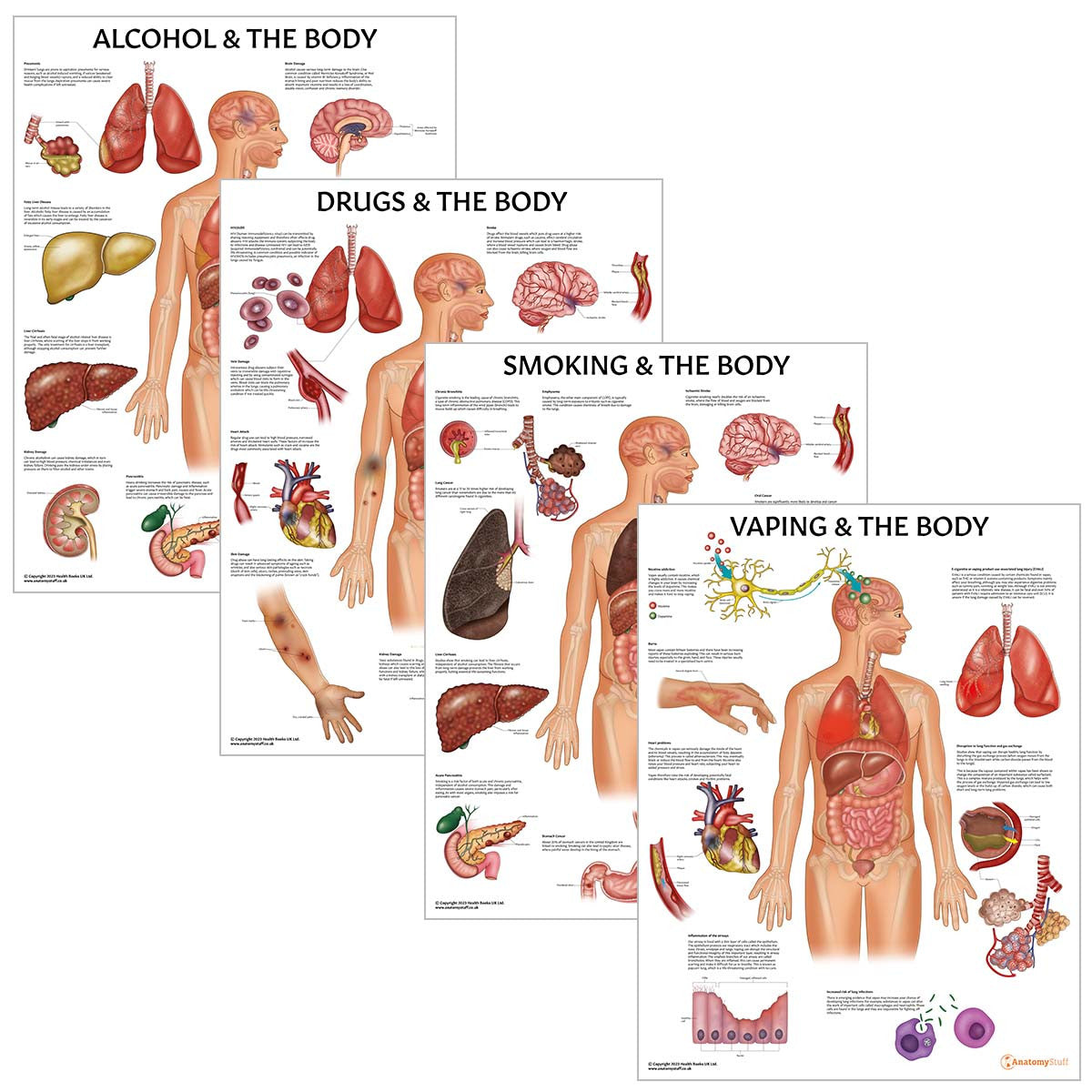 Substance and The Body 3 Poster Collection