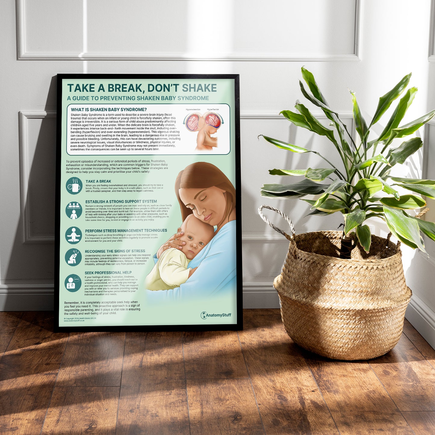 Take a Break, Don't Shake (Shaken Baby Syndrome) Chart / Poster
