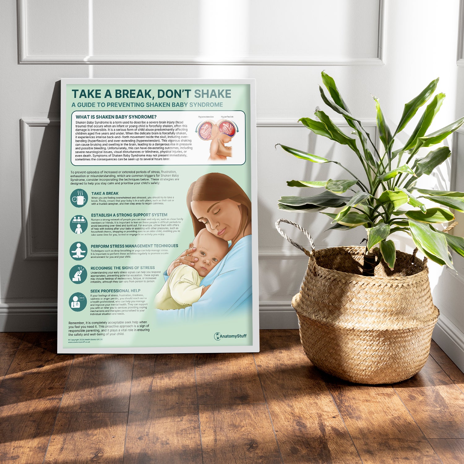 Take a Break, Don't Shake (Shaken Baby Syndrome) Chart / Poster
