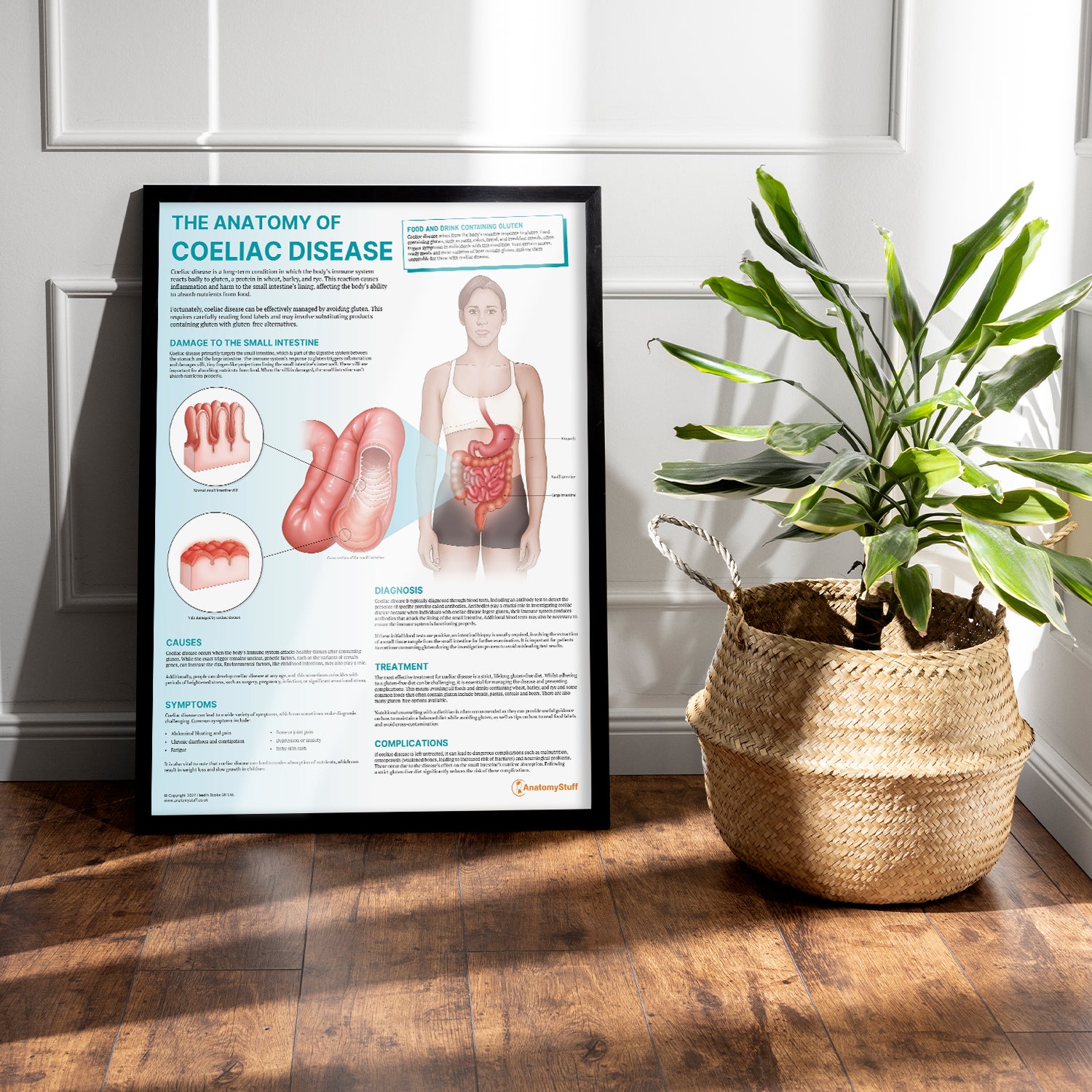 The Anatomy of Coeliac Disease Chart / Poster