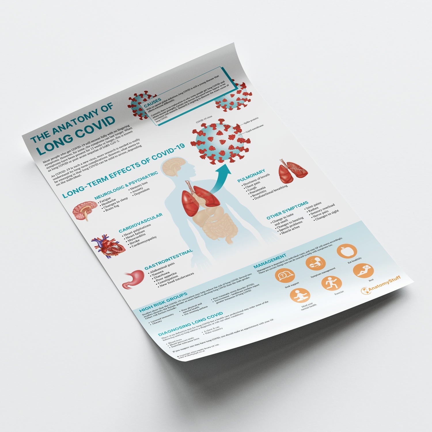 The Anatomy of Long COVID Chart / Poster - Part of Collection
