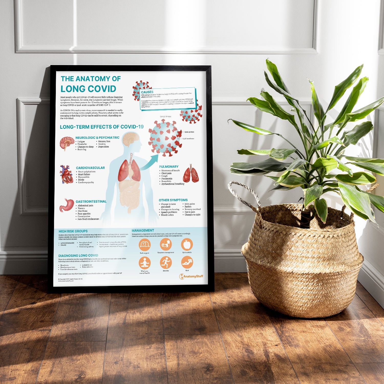 The Anatomy of Long COVID Chart / Poster - Part of Collection