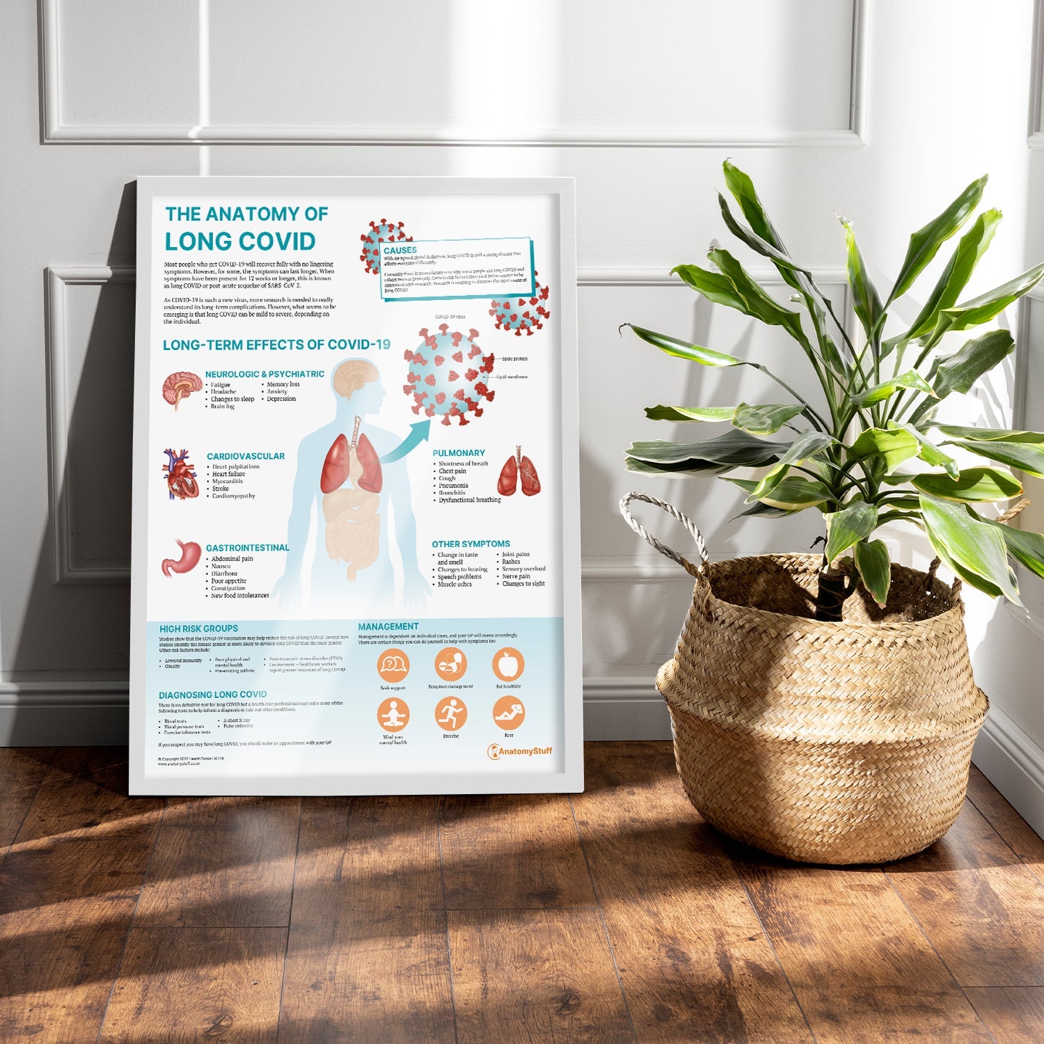 The Anatomy of Long COVID Chart / Poster - Part of Collection