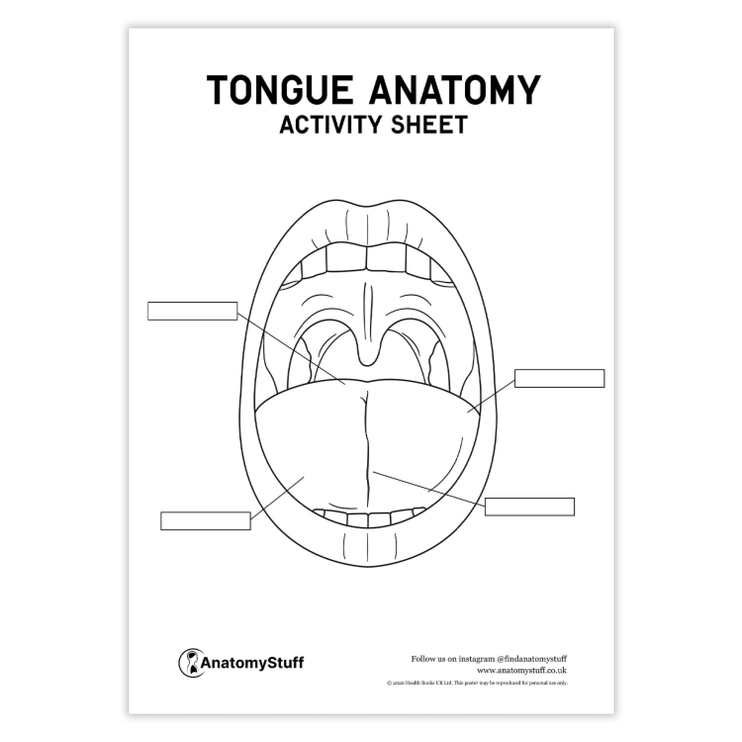 Tongue Anatomy Coloring Page Frenulum Of The Tongue Wikipedia tongue-anatomy-coloring-page-frenulum-of-the-tongue-wikipedia