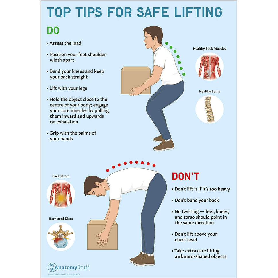 AnatomyStuff Complete Manual Handling Demonstration Kit