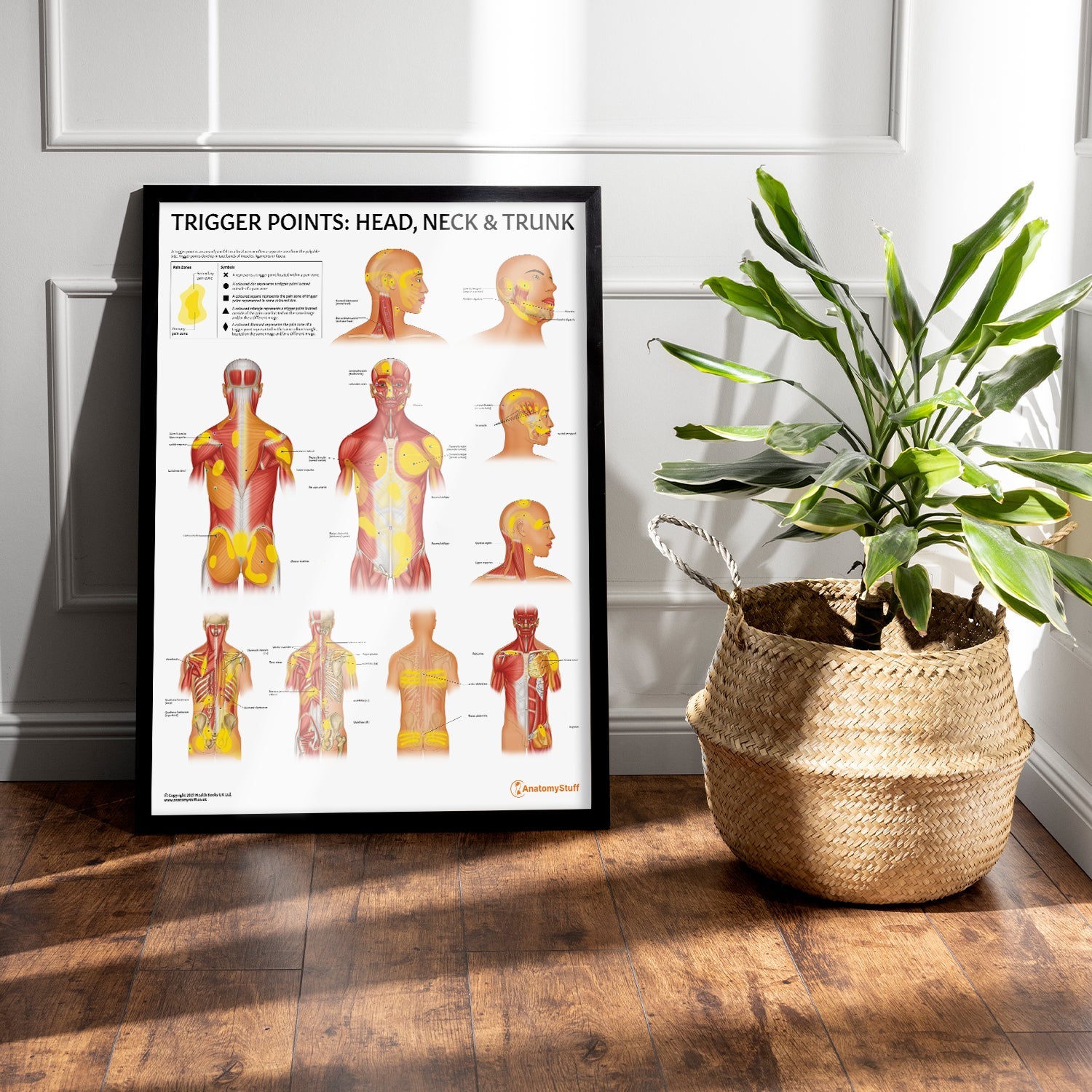 Trigger Points: Head, Neck & Trunk Chart / Poster - Part of Collection