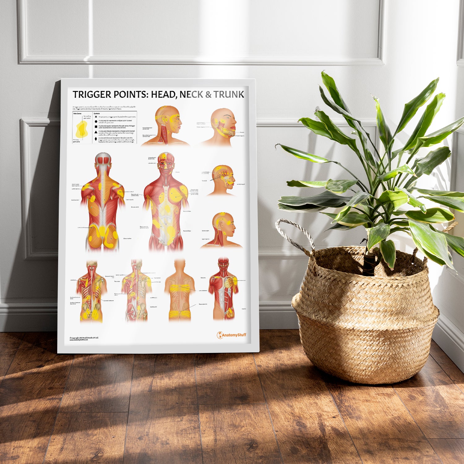 Trigger Points: Head, Neck & Trunk Chart / Poster - Part of Collection