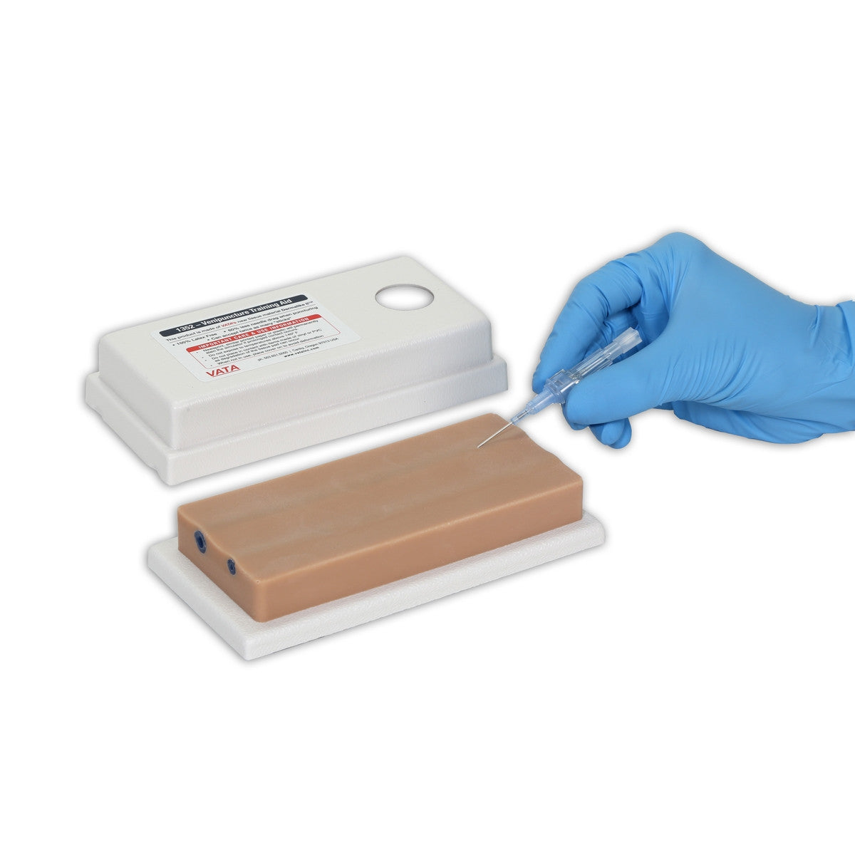 Two-Vein Venipuncture Training Aid