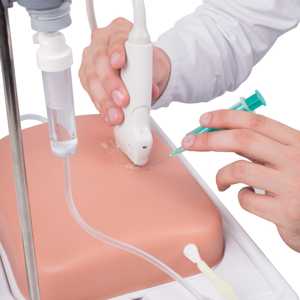 SONOtrain Ultrasound Vein Model