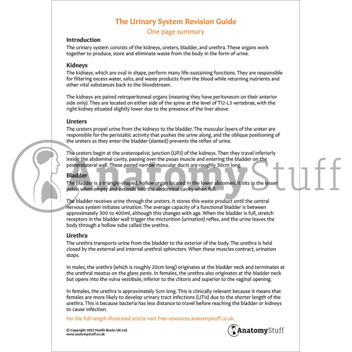 Urinary System Revision Guide (One Page Summary)