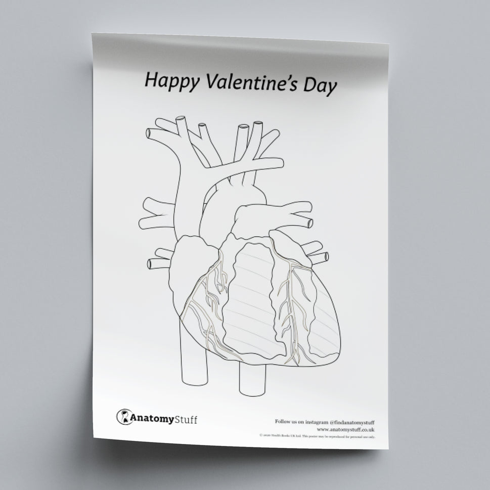 Valentine's Day Poster PDF