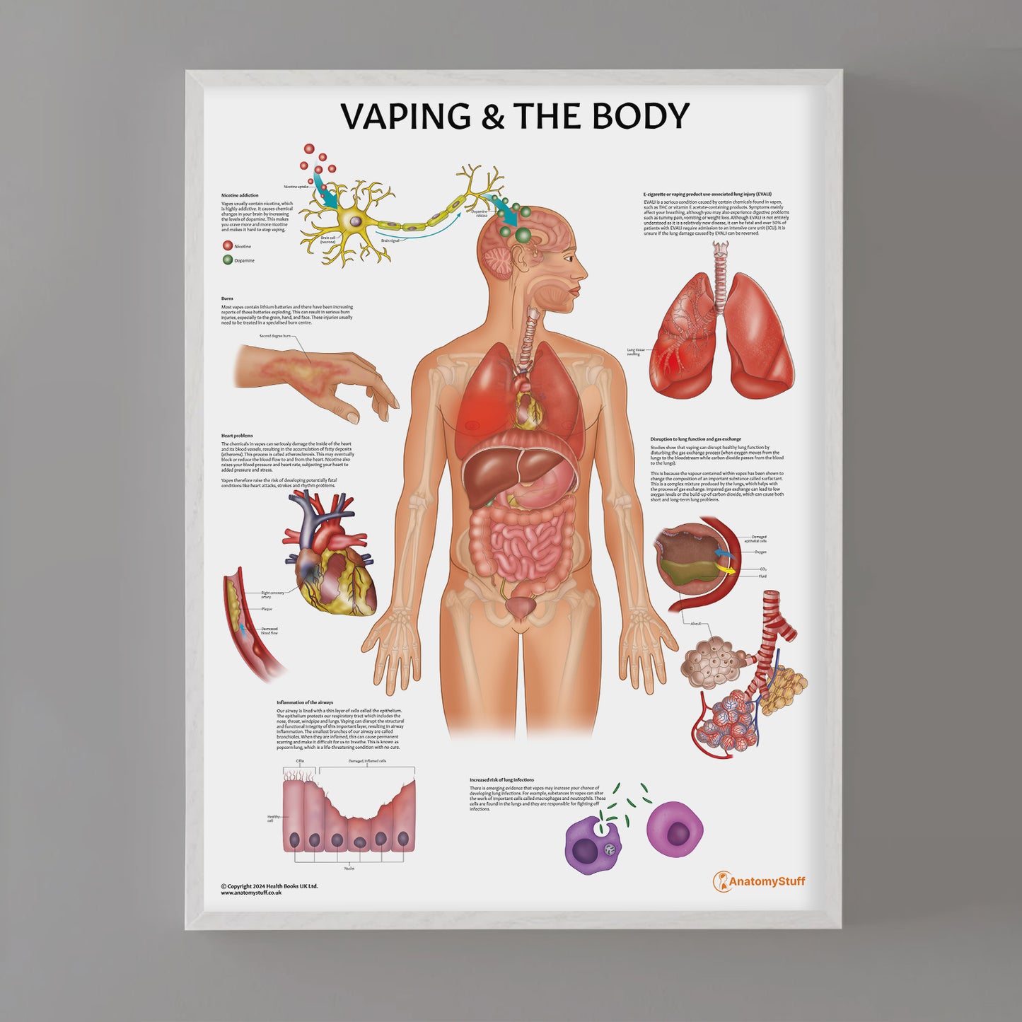 Vaping and The Body Chart / Poster