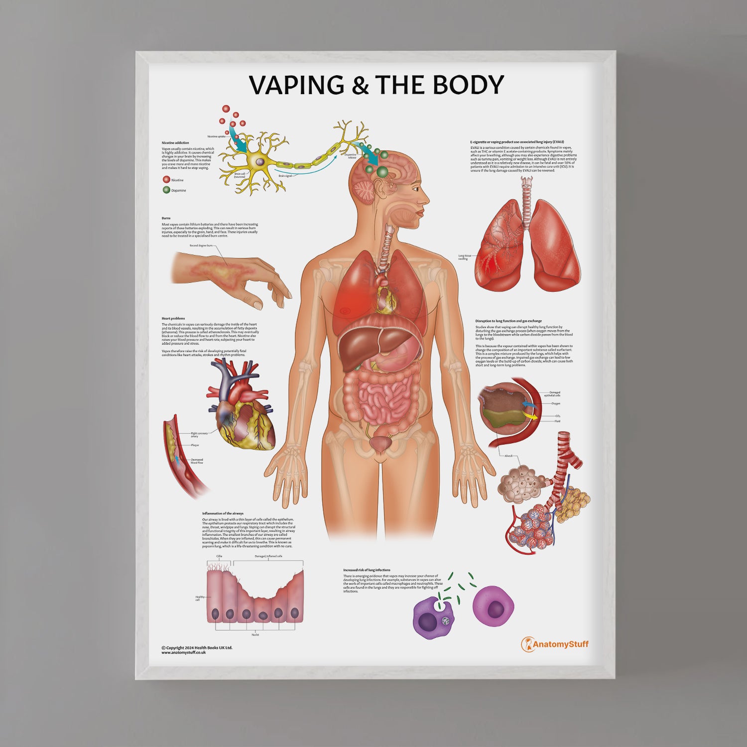 Vaping and The Body Chart / Poster