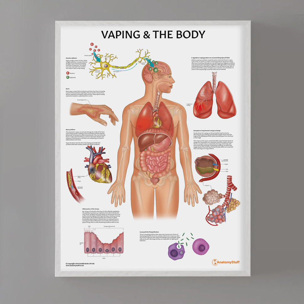 Vaping and The Body Chart / Poster