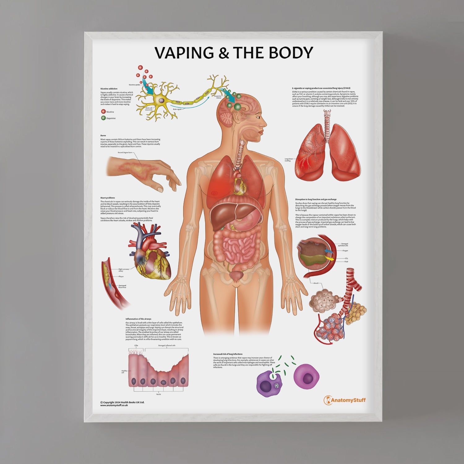 Vaping and The Body Chart / Poster - Part of Collection