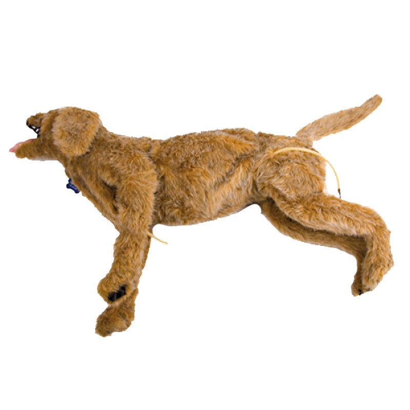 "Advanced Airway Jerry" Canine Breath/Heart Sound Simulator
