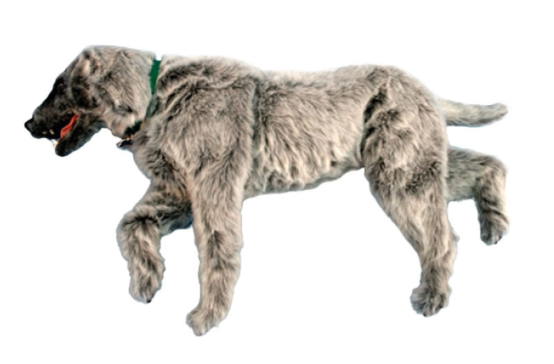 "Emily K9" Canine Positioning Manikin