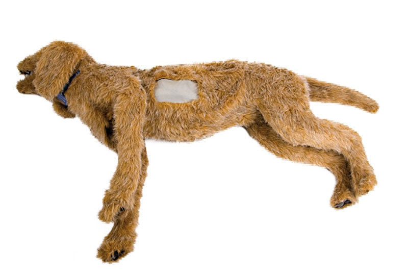 "K-9 Thoracentesis" Canine Chest Tube Simulator