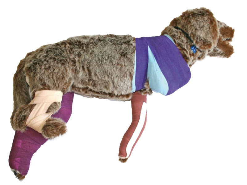 "Rufus" Canine Bandaging Manikin